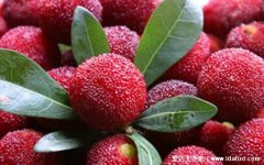 杨梅吃多了对身体有什么影响，上火拉肚子