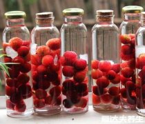 杨梅酒的功效和作用,能够减肥美容预防心