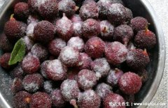 杨梅里的小白虫能吃吗,果蝇幼虫能吃对身