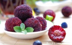 杨梅是凉性还是热性上火吗,温性水果适量