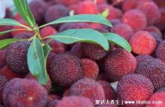 杨梅怎么洗才能洗干净,用盐水洗既干净又