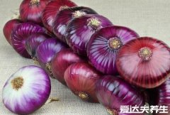 洋葱的功效与作用禁忌,防癌抗衰老但有5大