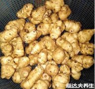 洋姜的腌制方法，怎样腌制洋姜好吃(七个步