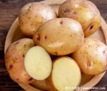 洋芋是土豆吗和土豆的区别在哪,洋芋是土