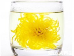 养肝护肝喝什么茶最好,除了菊花茶还有这