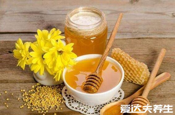 秋天吃什么养生,吃出健康的九种食物