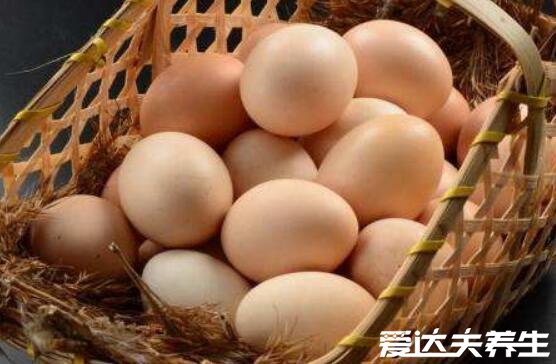 秋天吃什么养生,吃出健康的九种食物