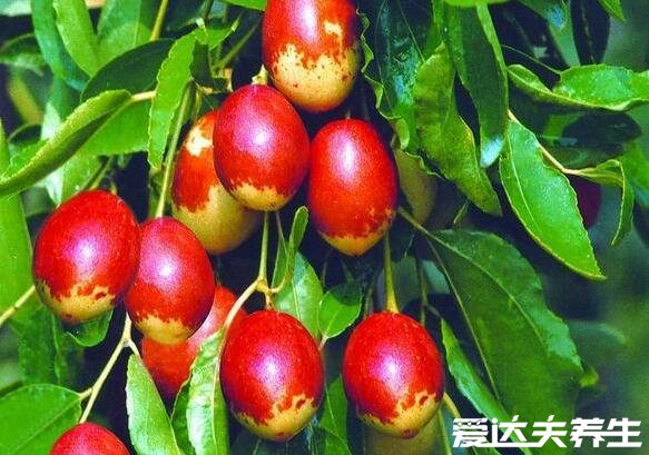 秋天成熟的水果有哪些,6种代表性的应季水果不能错过