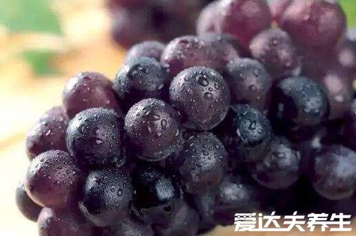 秋天吃什么养生,吃这九种食物对身体最好