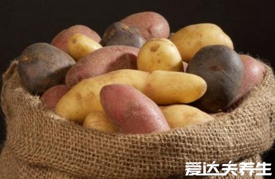 秋天吃什么养生,吃这九种食物对身体最好