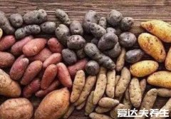 秋天吃什么养生，吃出健康的九种食物