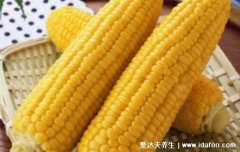 一根玉米的热量是多少?吃玉米可以减肥吗